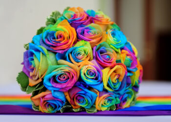 Making rainbow roses at home