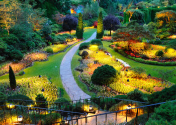 Redesign your garden to create a tranquil and inviting environment